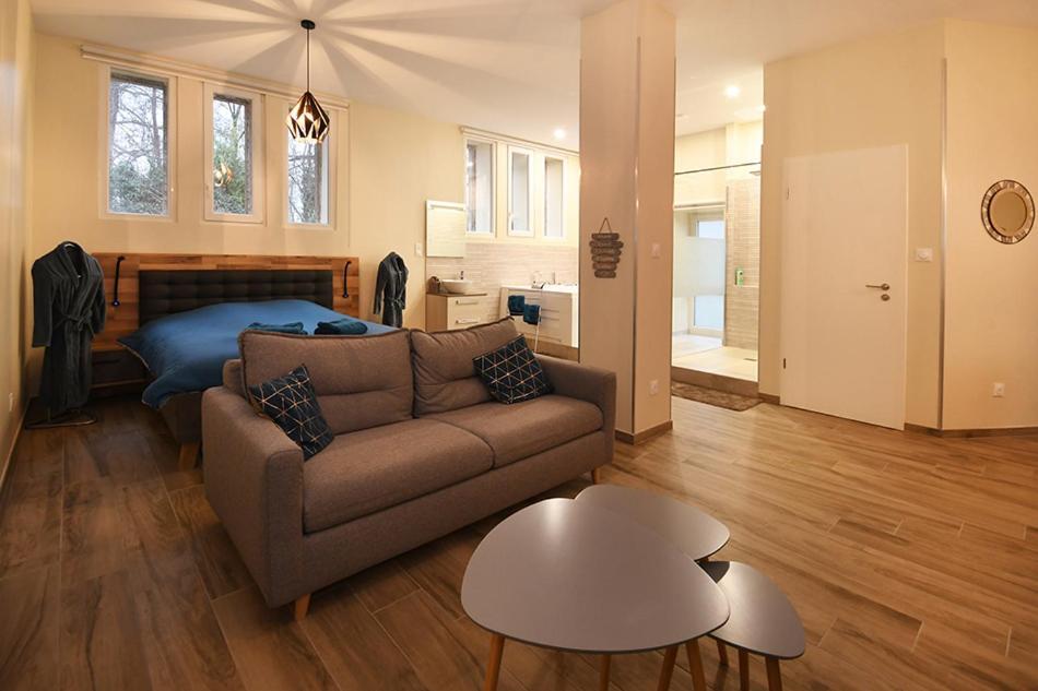 Appartement Loft Detente 斯特拉斯堡 外观 照片