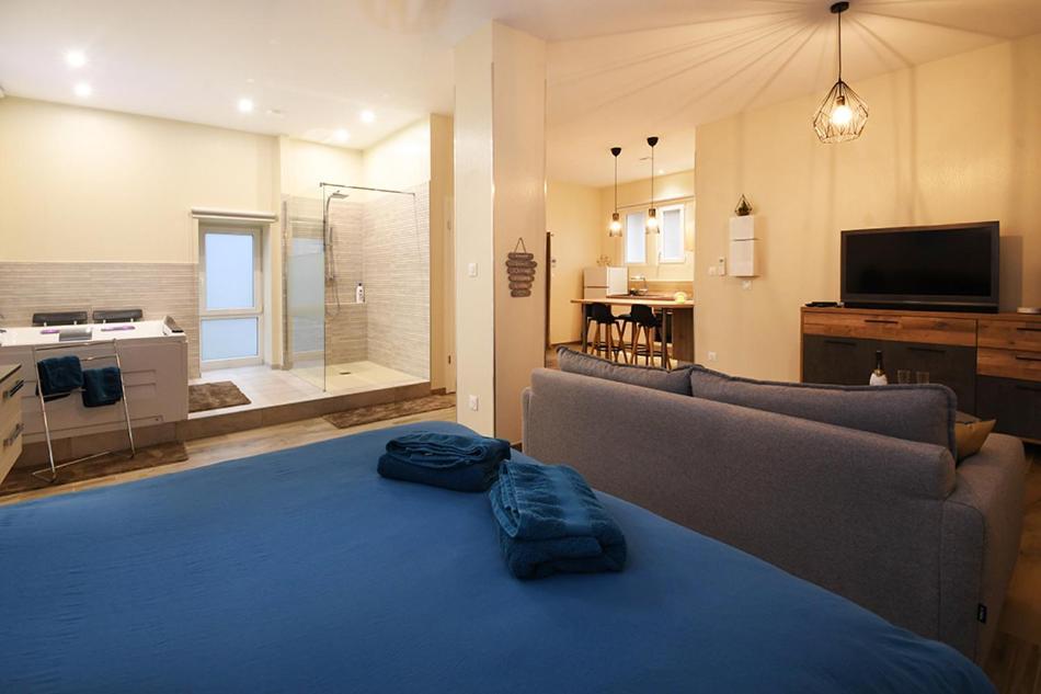Appartement Loft Detente 斯特拉斯堡 外观 照片
